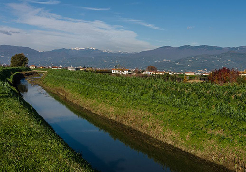 Causas da formação de espuma de pesticidas? Uso de antiespumante de pesticidas
    